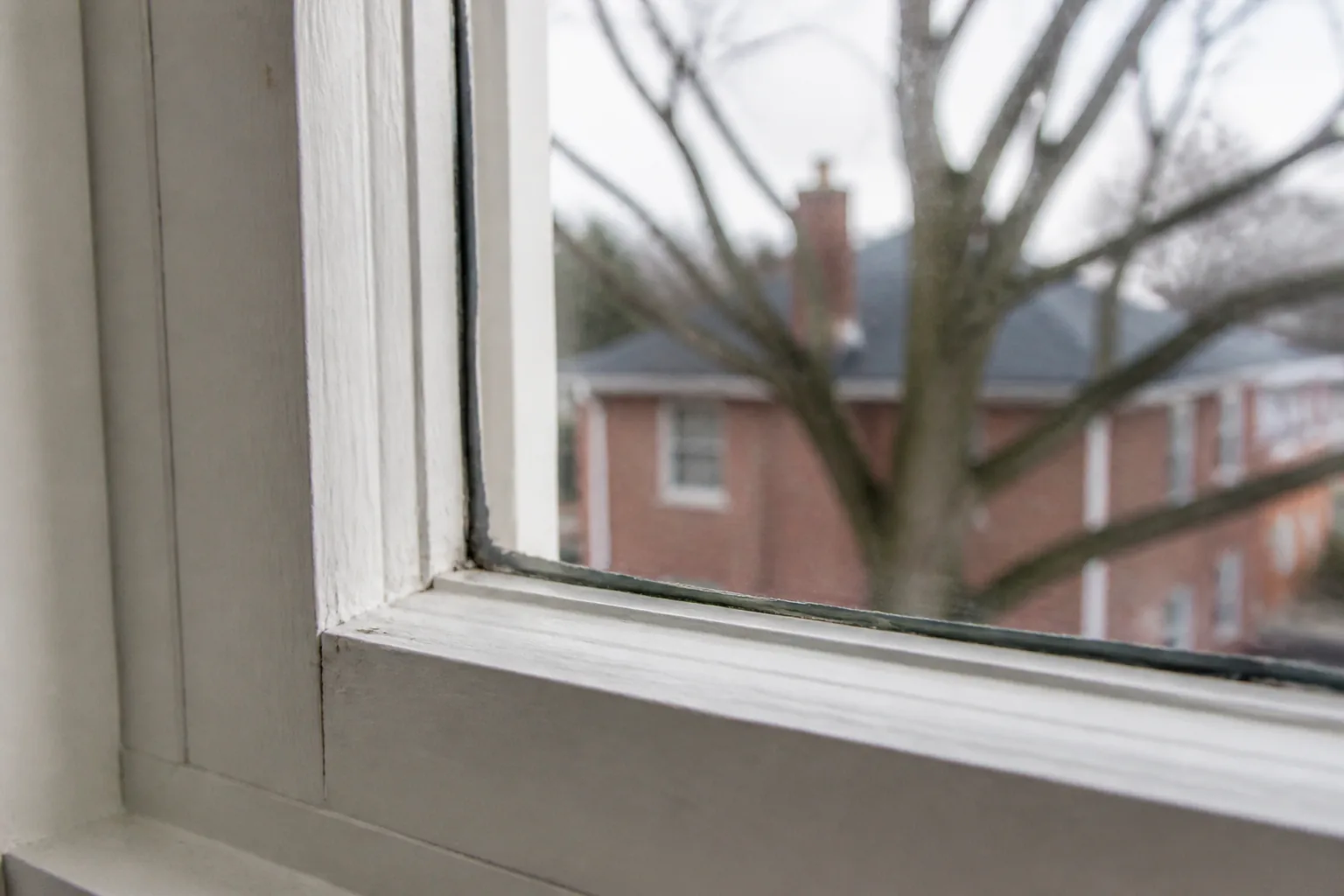 The corner of a double-hung window pane in a painted wooden sash, washed streak-free so the overcast daylight comes straight through and a bare winter tree and a neighbouring brick house read softly beyond the glass.